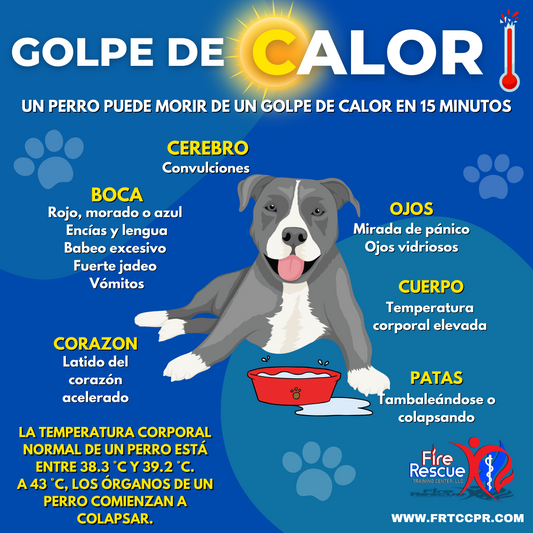 Golpe de Calor en Mascotas