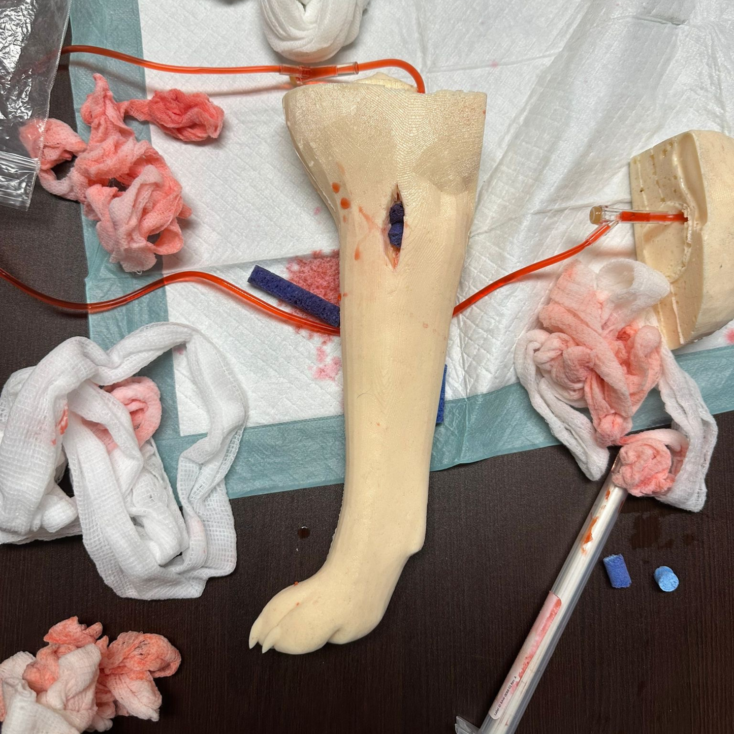 Técnicas en el Control de Hemorragias para Mascotas