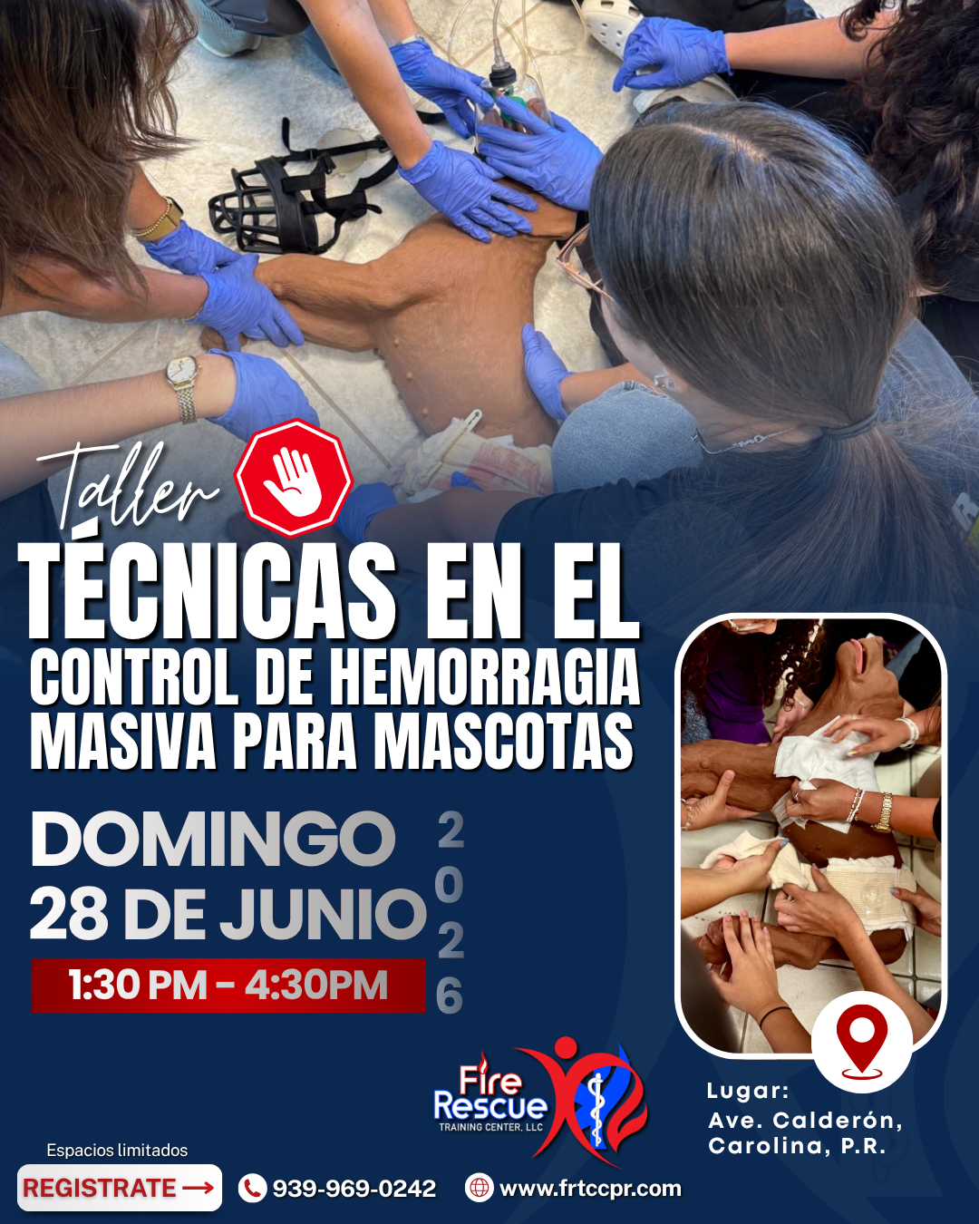 Técnicas en el Control de Hemorragias para Mascotas