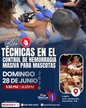 Técnicas en el Control de Hemorragias para Mascotas