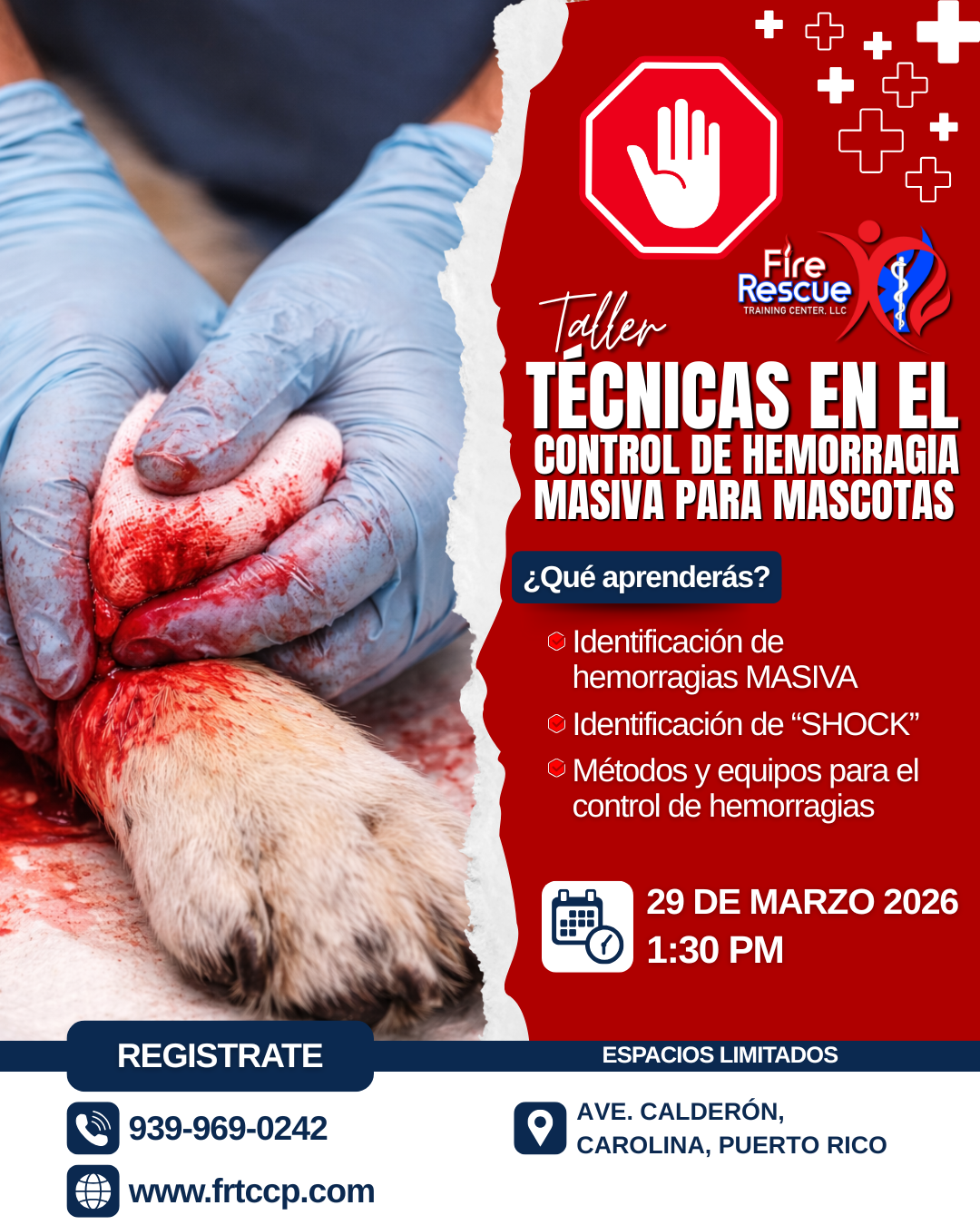 Técnicas en el Control de Hemorragias para Mascotas